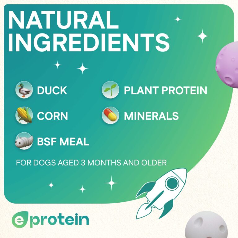 Dog Treats With Duck Jerky, 100g, E-Protein, Hypoallergenic