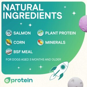 Dog Treats With Salmon Strip, 250g, E-Protein, Hypoallergenic