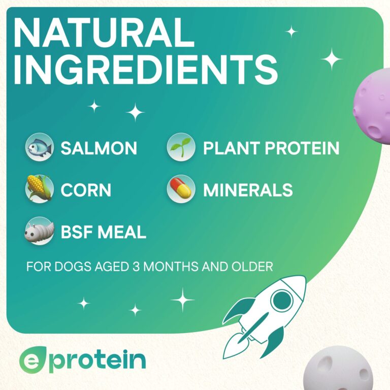 Dog Treats With Salmon Sandwich, 100g, E-Protein, Hypoallergenic