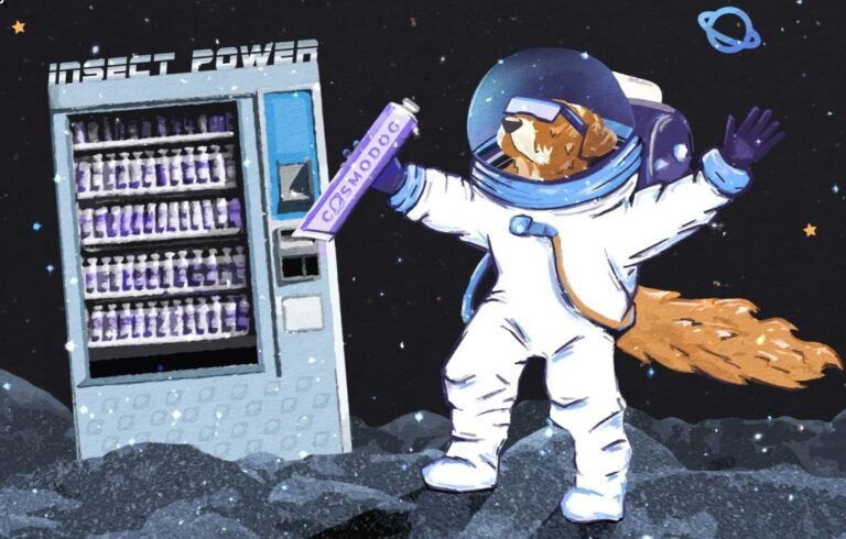 Natural Nutrition for Dogs: A Detailed Overview and Transition Tips