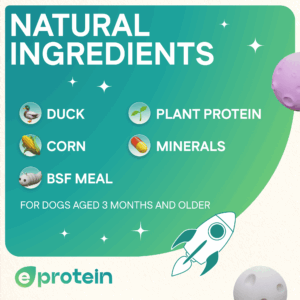 Dog Treats With Duck Donut, 100g, E-Protein, Hypoallergenic