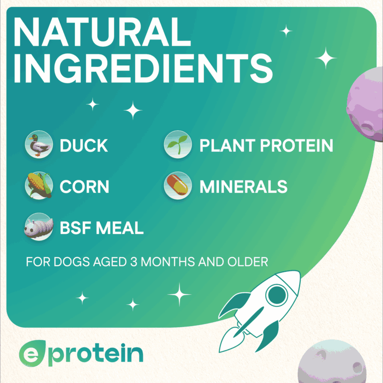 Dog Treats With Duck Donut, 250g, E-Protein, Hypoallergenic