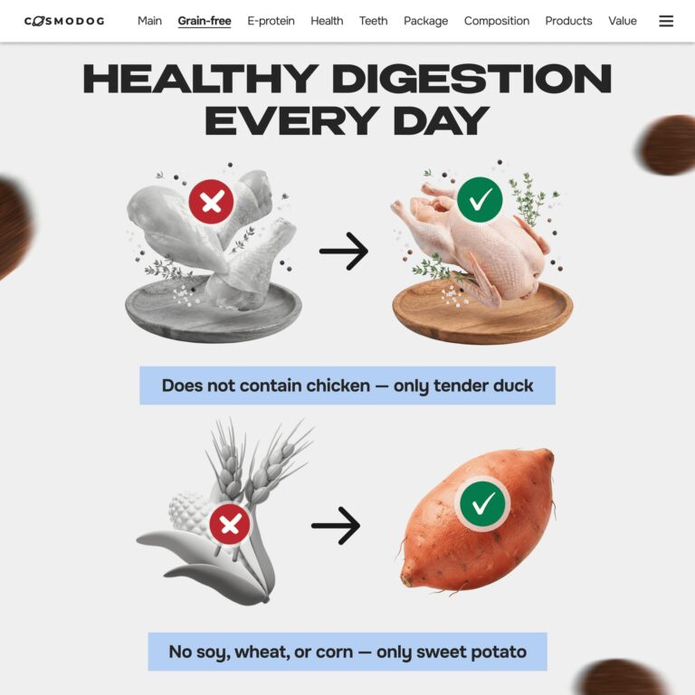 DOGS, CATS & BILLIONS: THE EVOLUTION OF PET FOOD – FROM BONES TO INSECTS