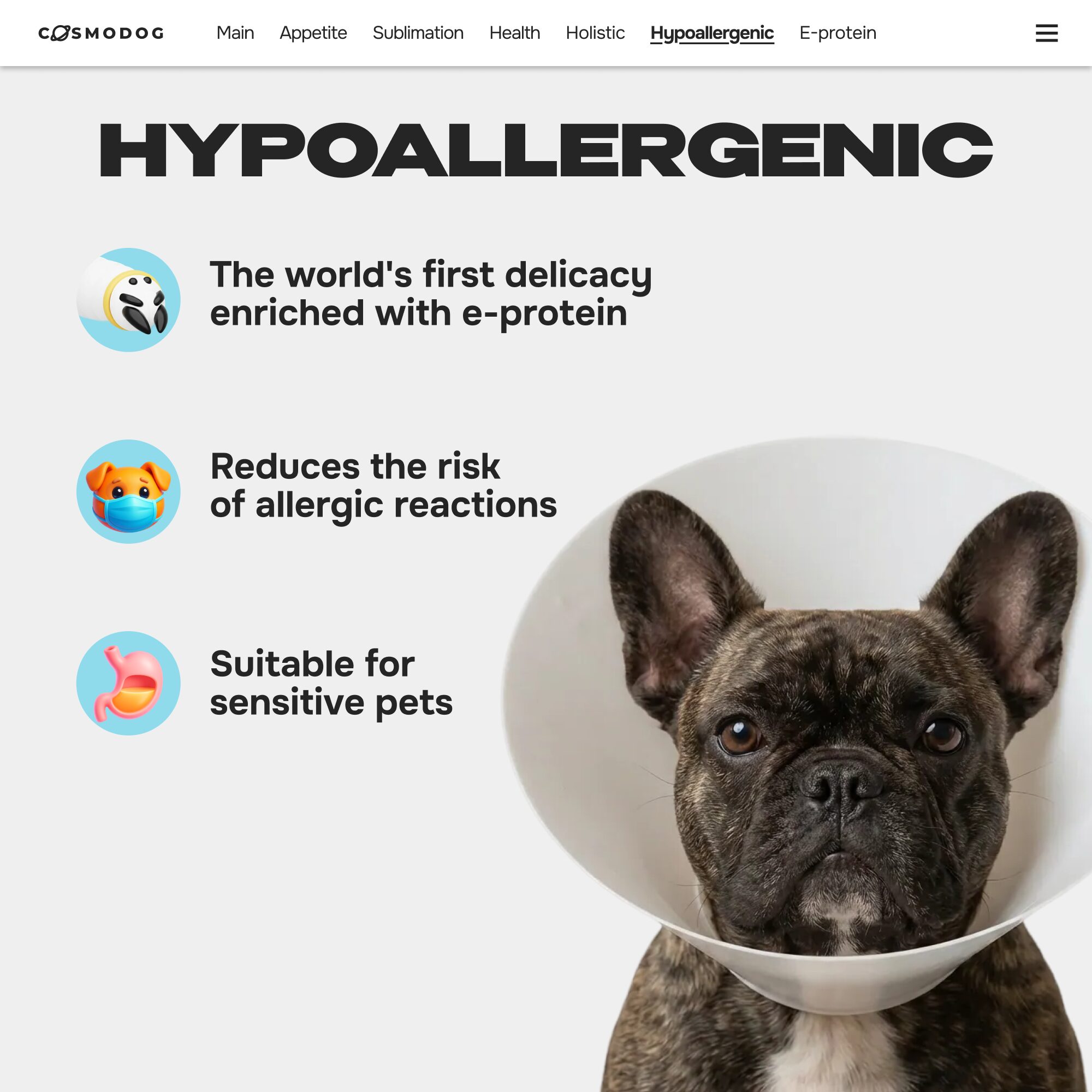 Cosmodog Freeze Dried Treats Salmon Cube 100 g