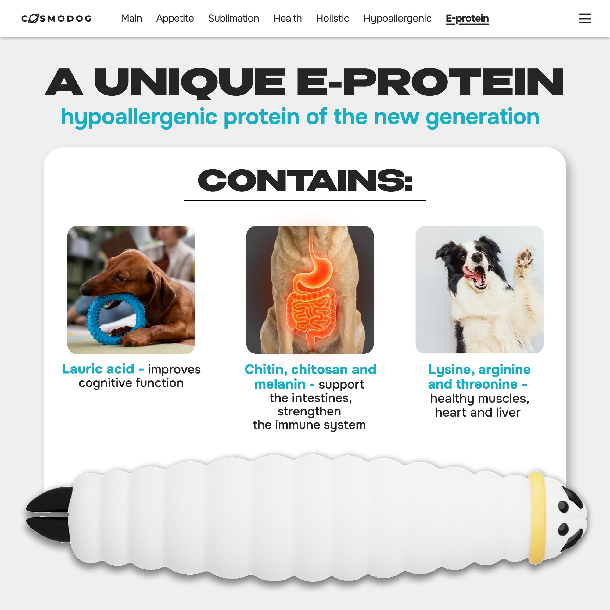 Cosmodog Freeze Dried Treats Salmon Cube 100 g