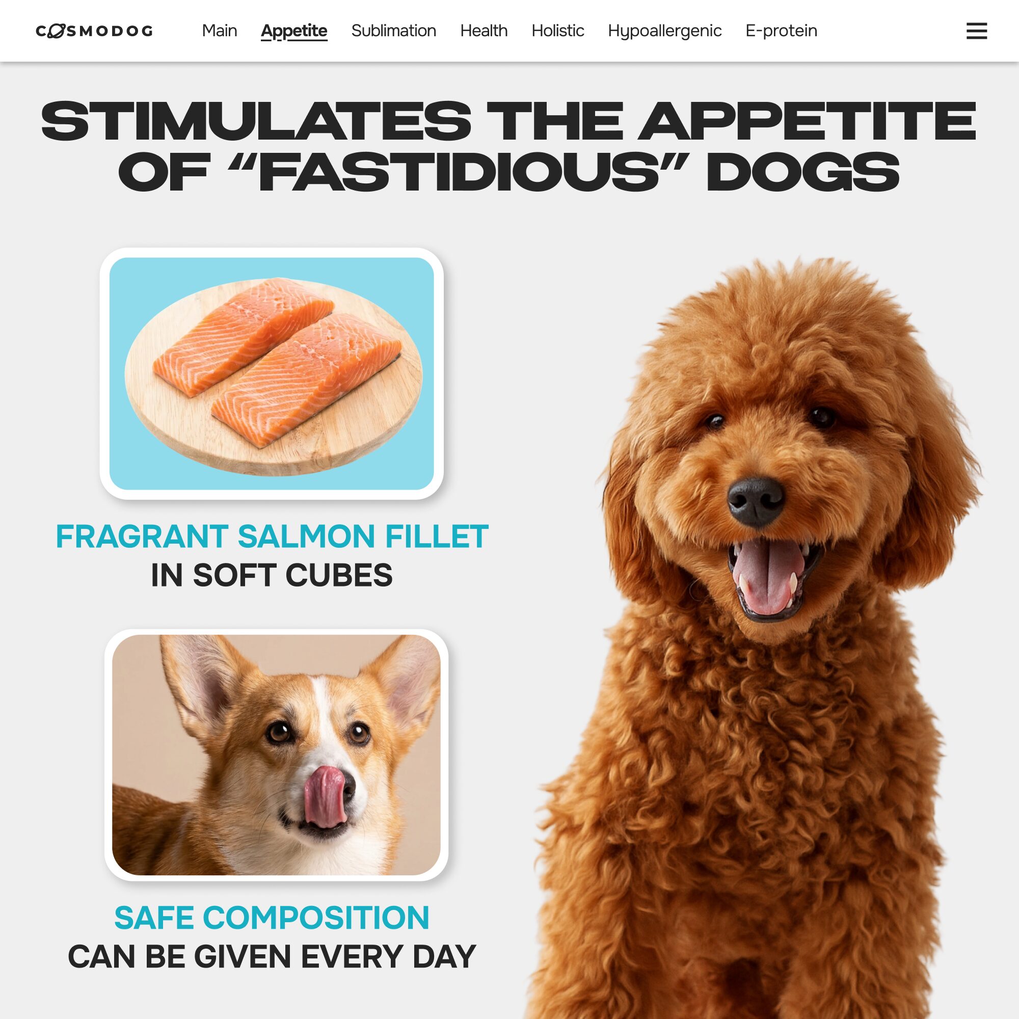 Cosmodog Freeze Dried Treats Salmon Cube 100 g