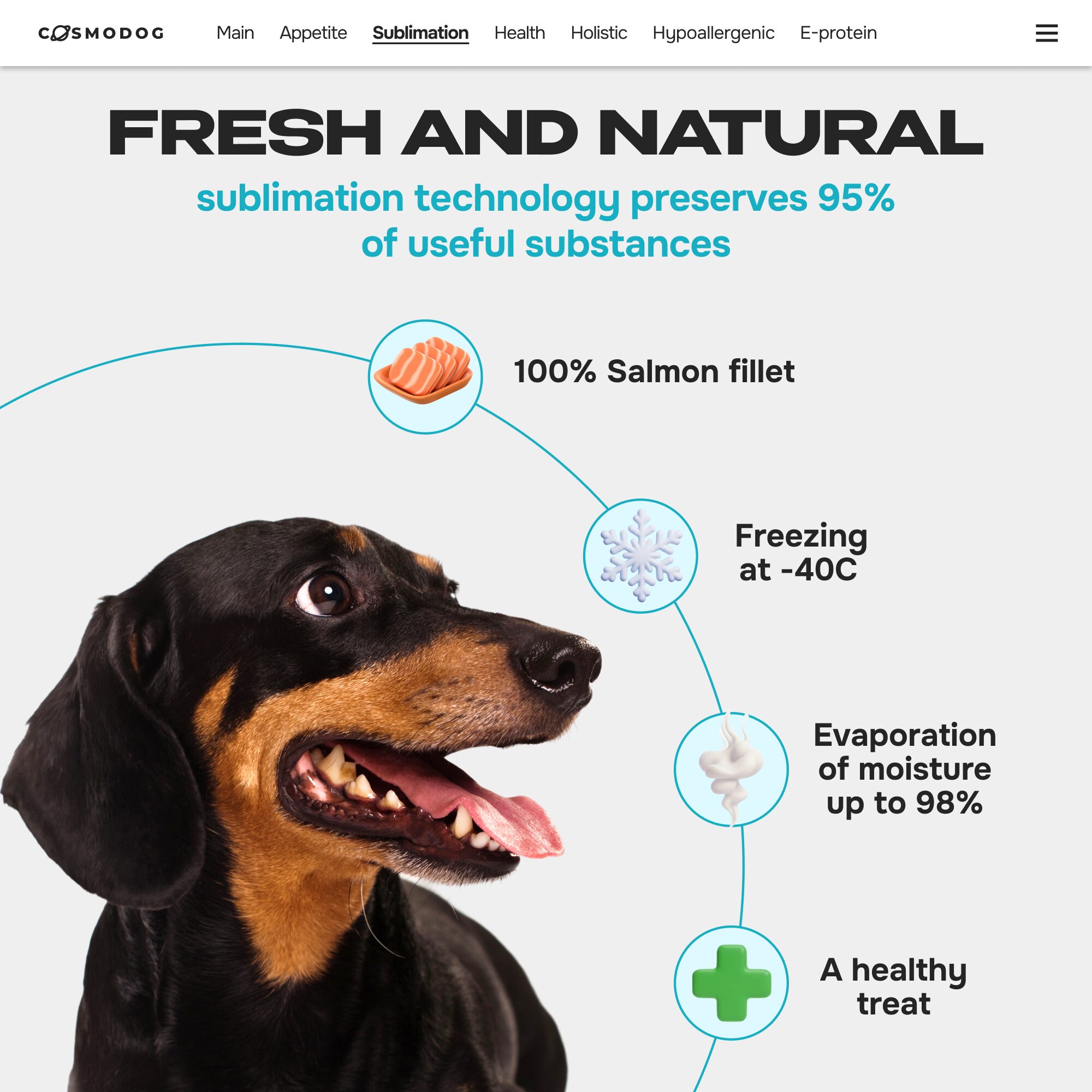 Cosmodog Freeze Dried Treats Salmon Cube 100 g