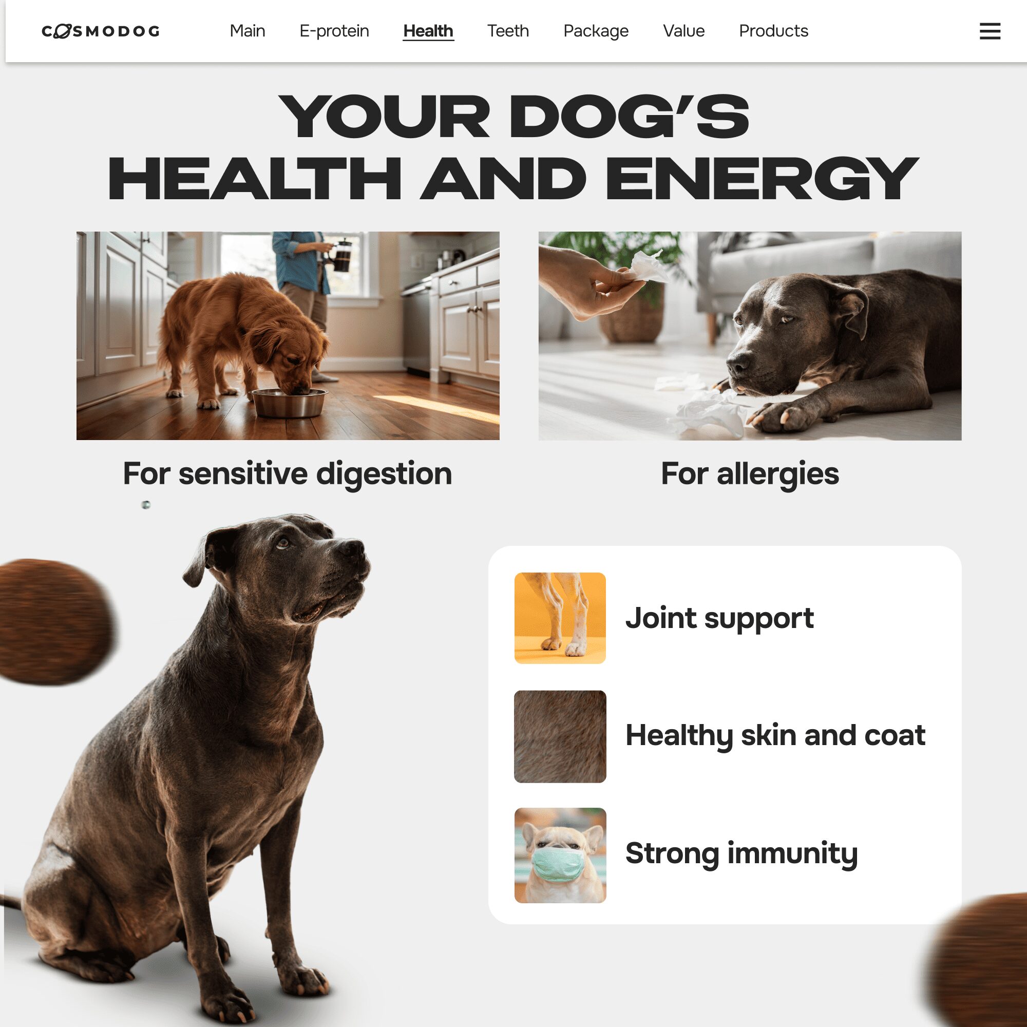 Cosmodog Dry Food Duck Regular Medium & Large breed 12 KG