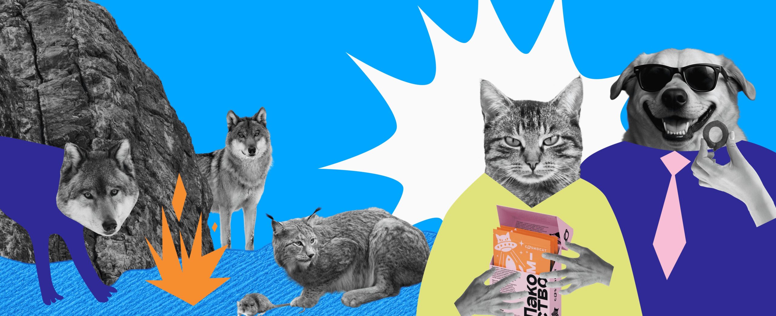 DOGS, CATS & BILLIONS: THE EVOLUTION OF PET FOOD – FROM BONES TO INSECTS