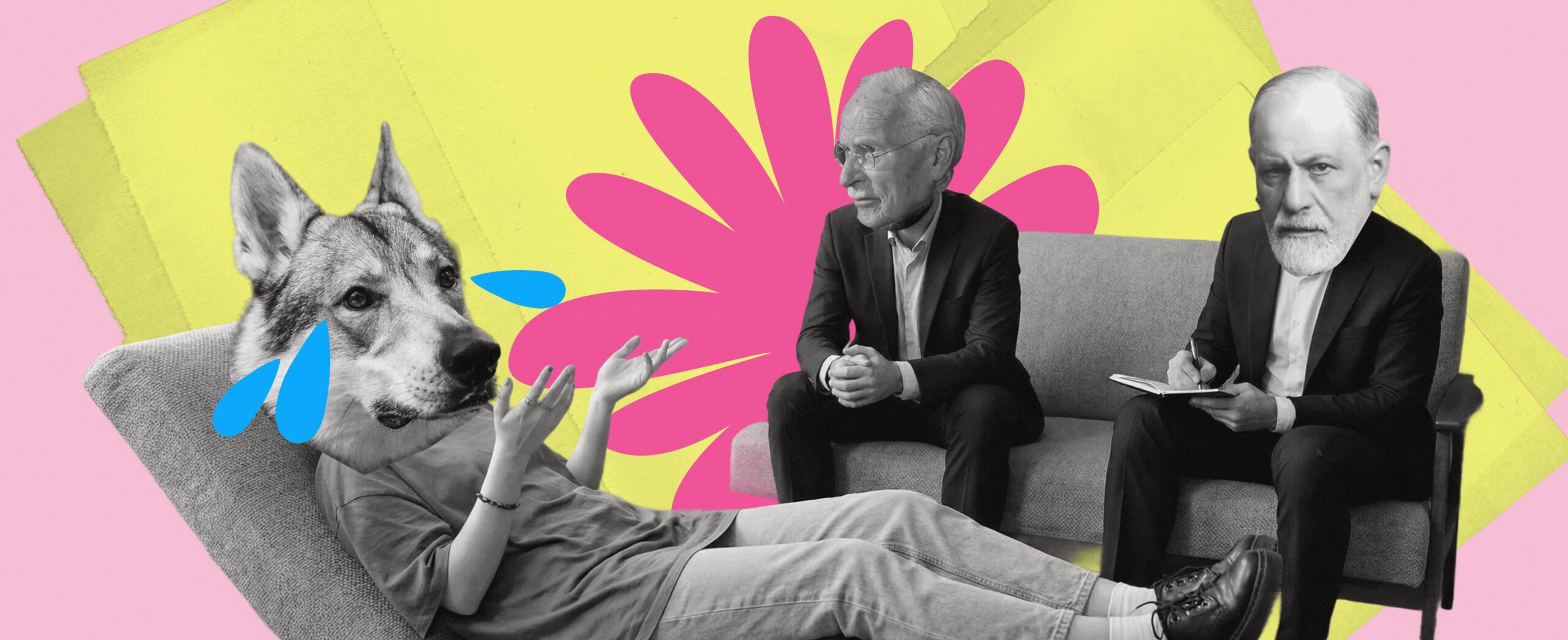 ZOOPSYCHOLOGY: HOW WE LEARNED TO STOP TRAINING AND START LISTENING 958