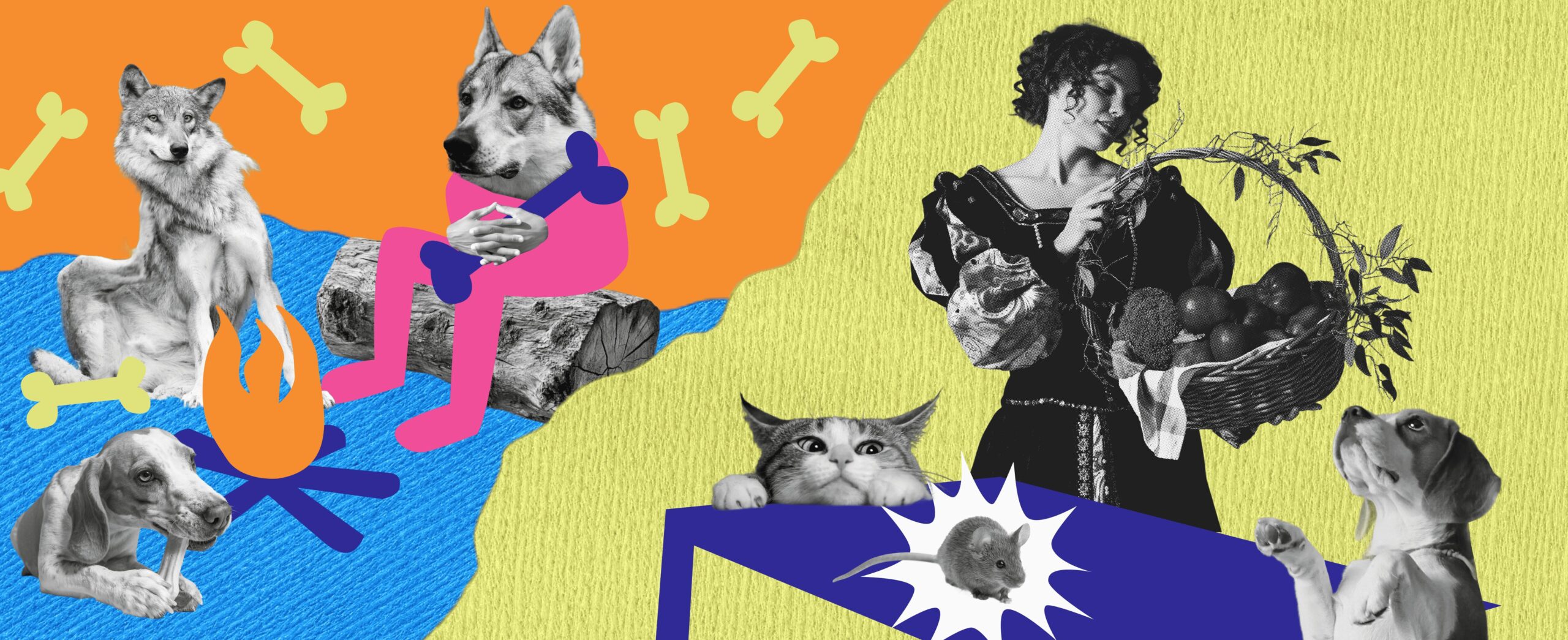 DOGS, CATS & BILLIONS: THE EVOLUTION OF PET FOOD – FROM BONES TO INSECTS 840