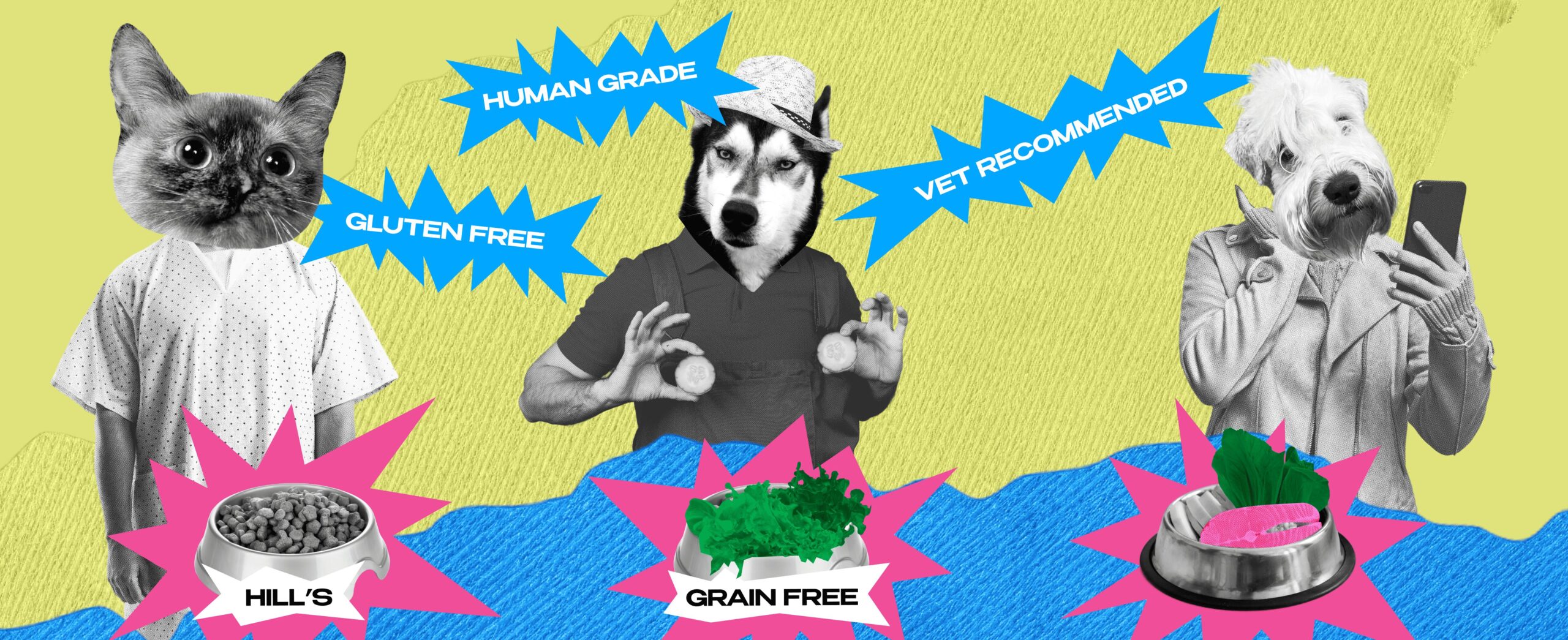 DOGS, CATS & BILLIONS: THE EVOLUTION OF PET FOOD – FROM BONES TO INSECTS 113