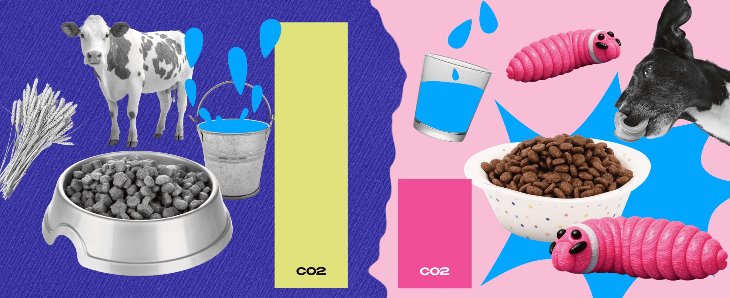 DOGS, CATS & BILLIONS: THE EVOLUTION OF PET FOOD – FROM BONES TO INSECTS 423