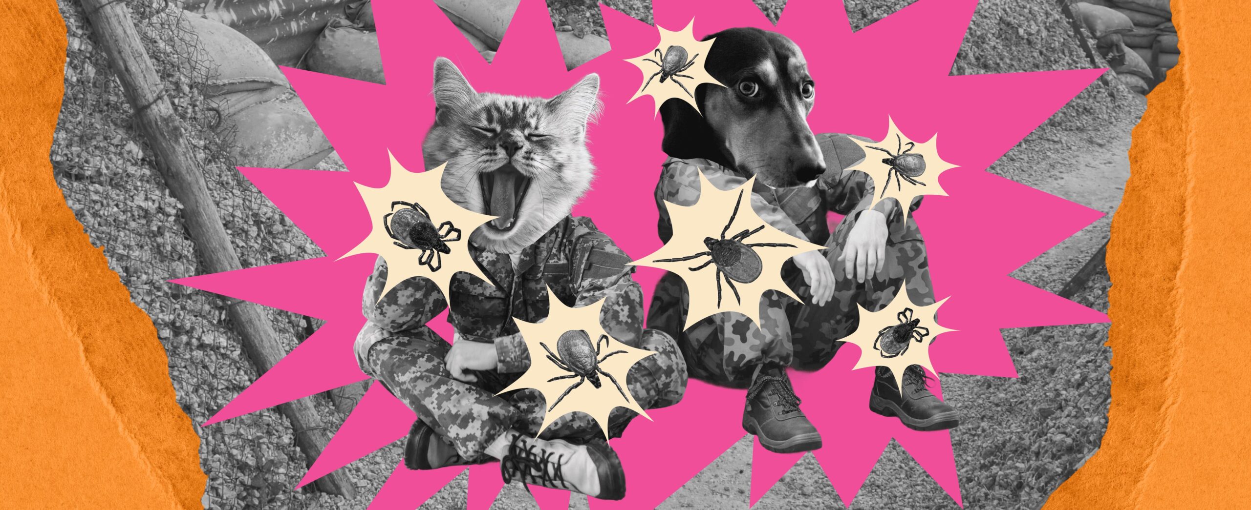 FEAR, HATRED, AND LOVE FOR INSECTS 29