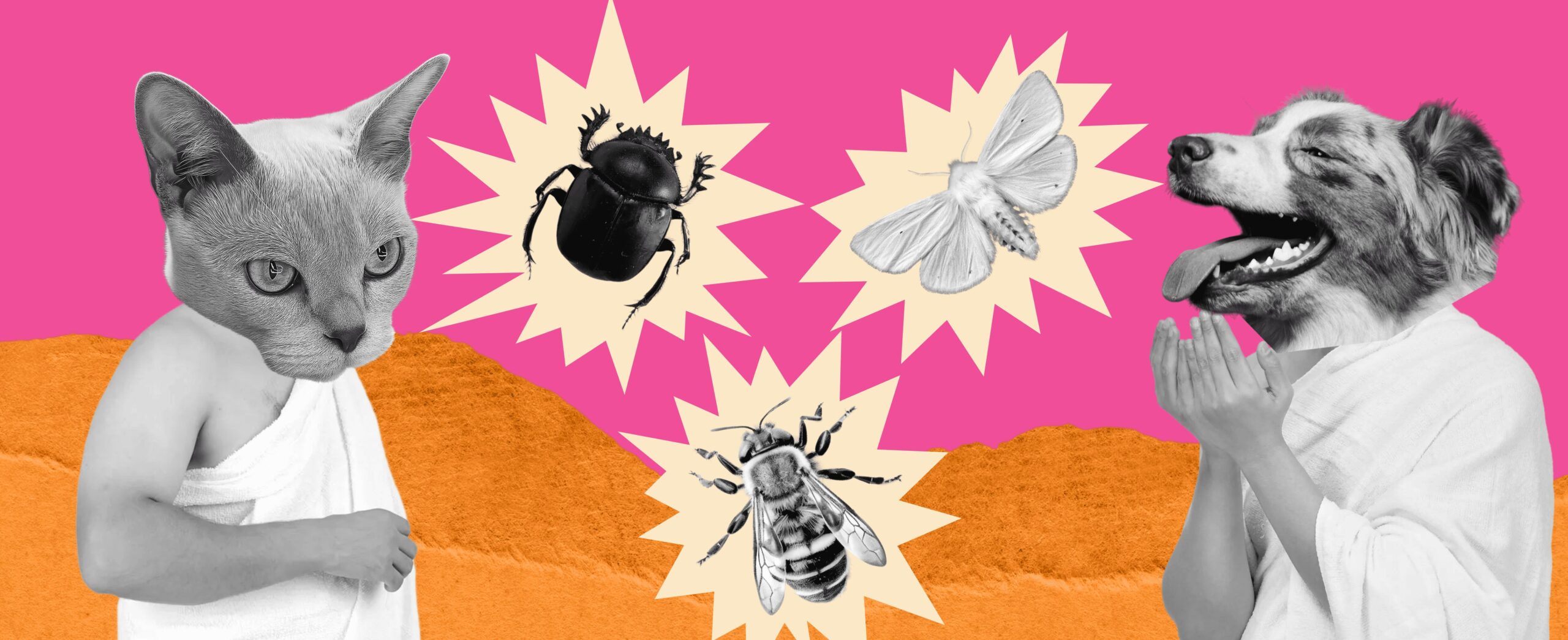 FEAR, HATRED, AND LOVE FOR INSECTS 791