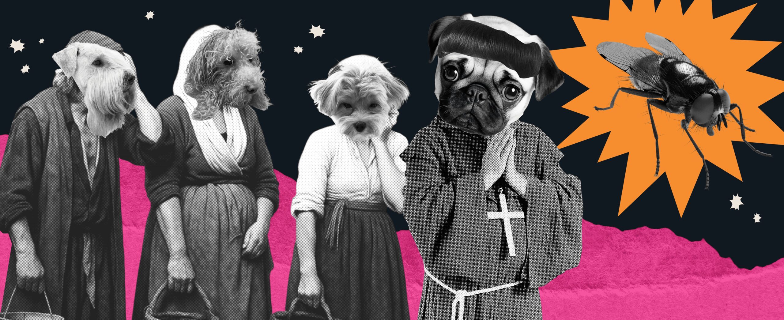 FEAR, HATRED, AND LOVE FOR INSECTS 819