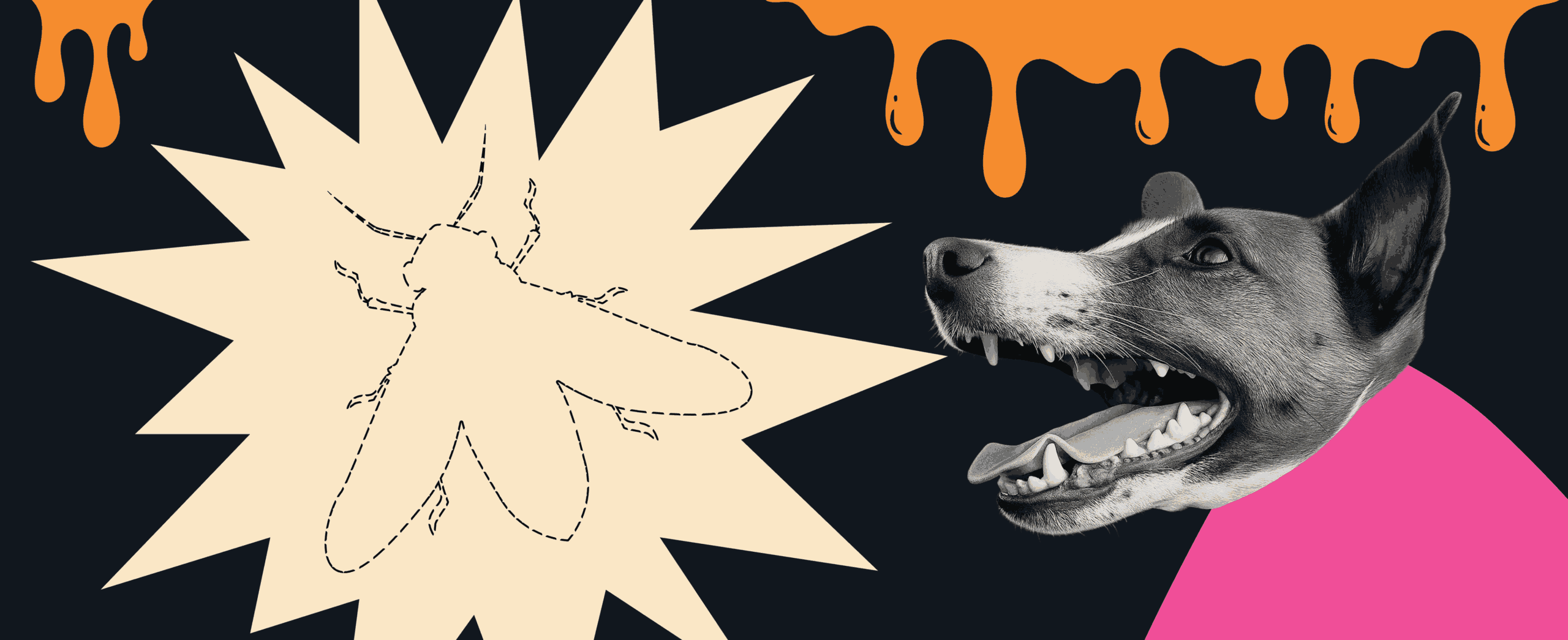 FEAR, HATRED, AND LOVE FOR INSECTS 454