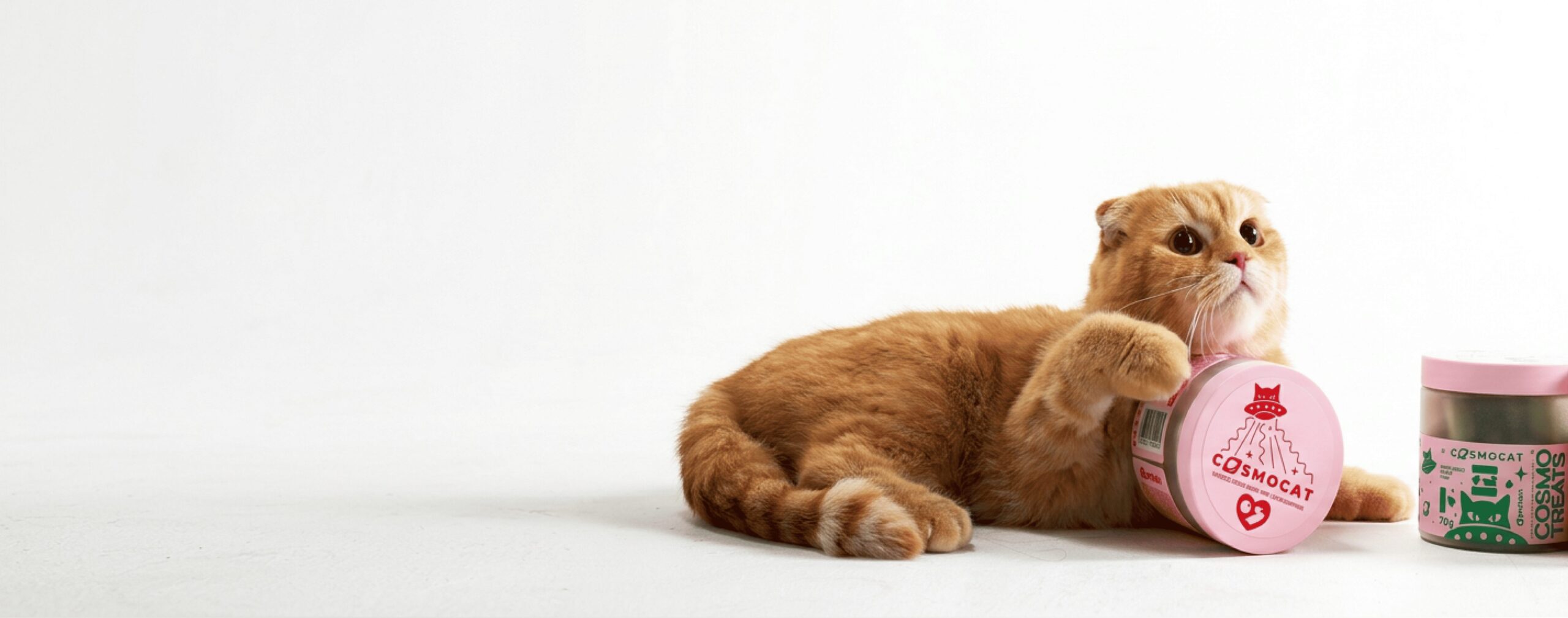 freeze dried treats enriched with insect protein