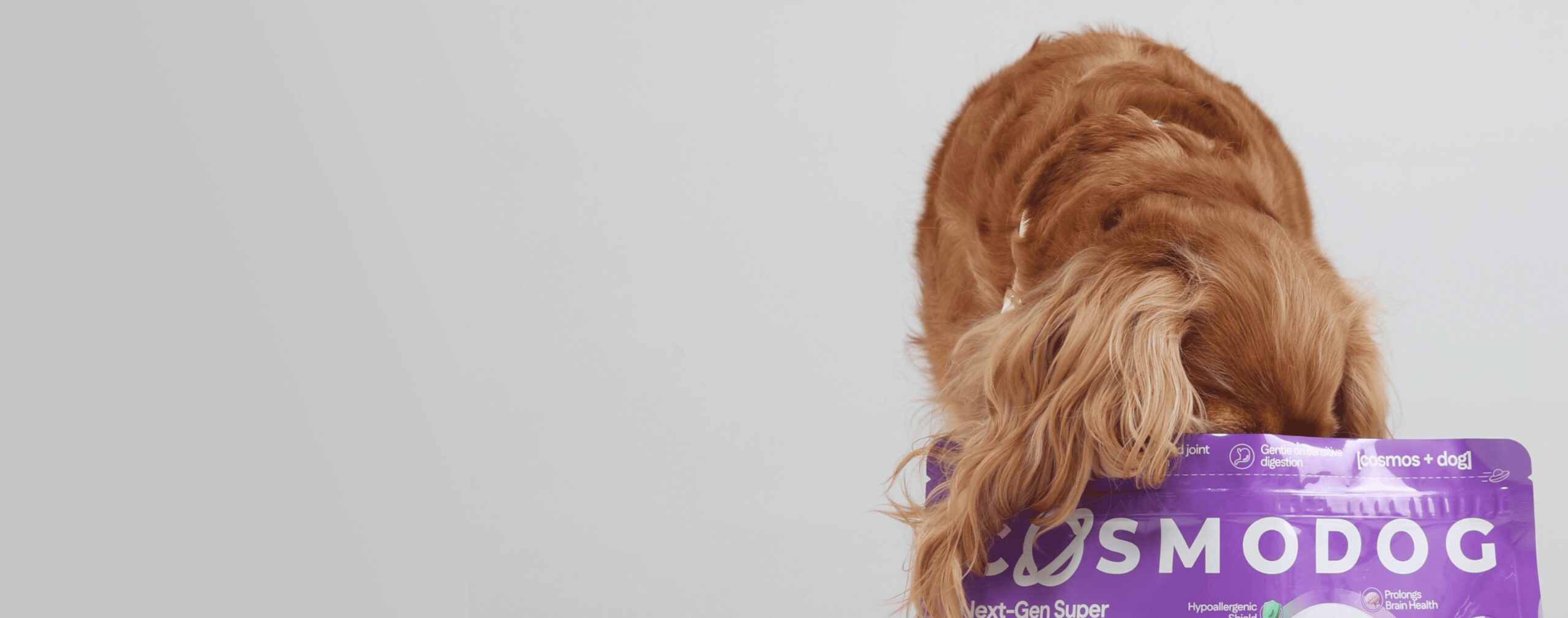 Dry food of the future for your pet